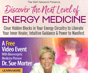 Discover the Next Level of Energy Medicine: Clear Hidden Blocks in Your Energy Circuitry to Liberate Your Inner Healer, Intuitive Guidance & Power to Manifest