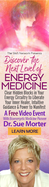 Discover the Next Level of Energy Medicine: Clear Hidden Blocks in Your Energy Circuitry to Liberate Your Inner Healer, Intuitive Guidance & Power to Manifest